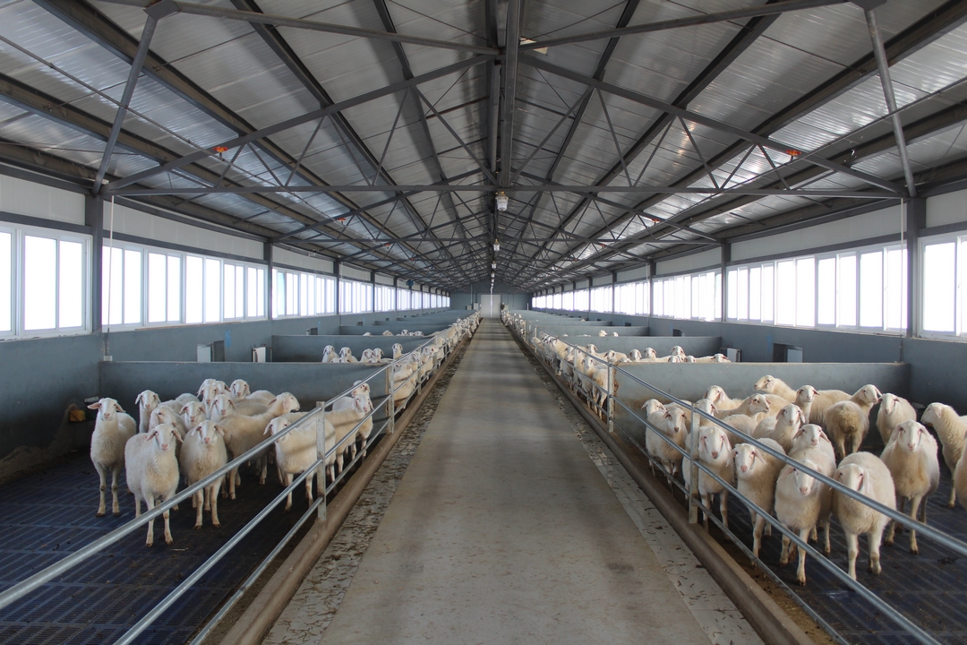 當好產(chǎn)業(yè)扶貧主力軍，打贏(yíng)脫貧攻堅戰