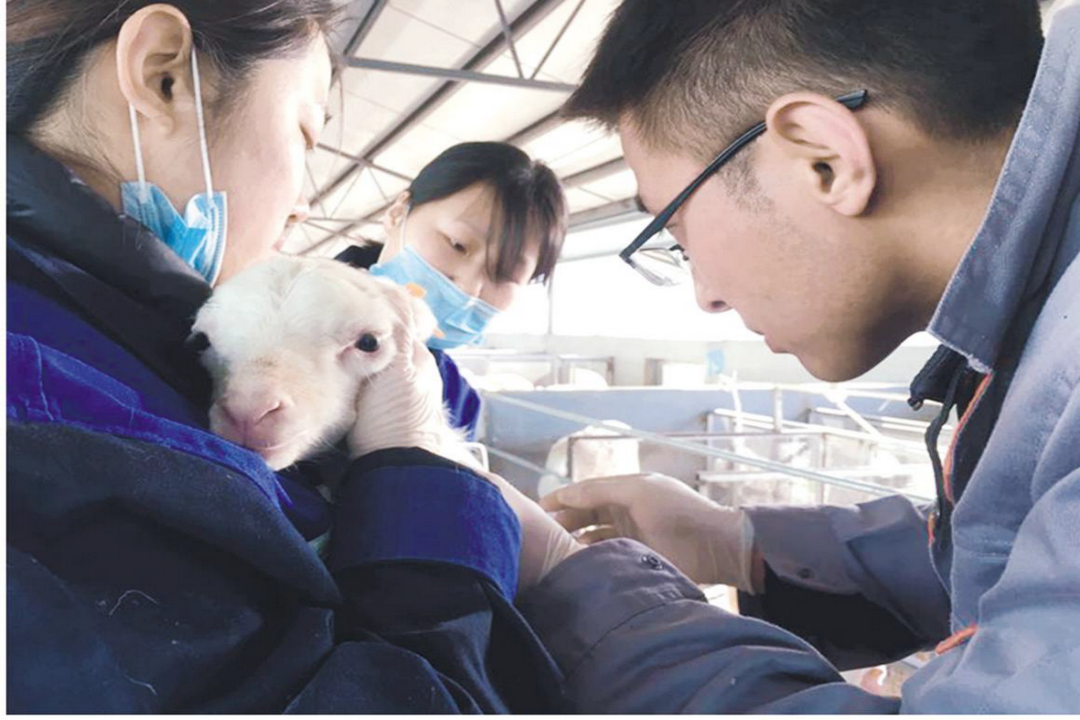 當好產(chǎn)業(yè)扶貧主力軍，打贏(yíng)脫貧攻堅戰